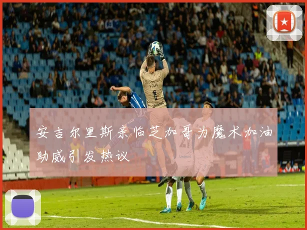 安吉尔里斯亲临芝加哥为魔术加油助威引发热议