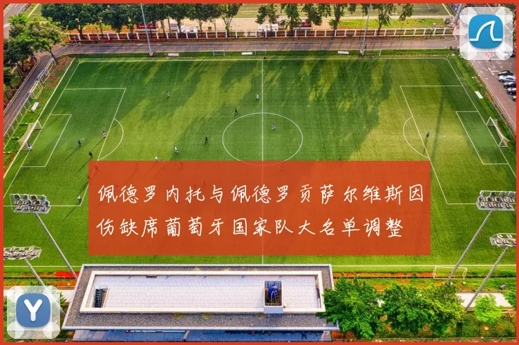 佩德罗内托与佩德罗贡萨尔维斯因伤缺席葡萄牙国家队大名单调整