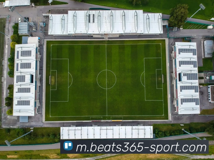 beats365体育平台生态图